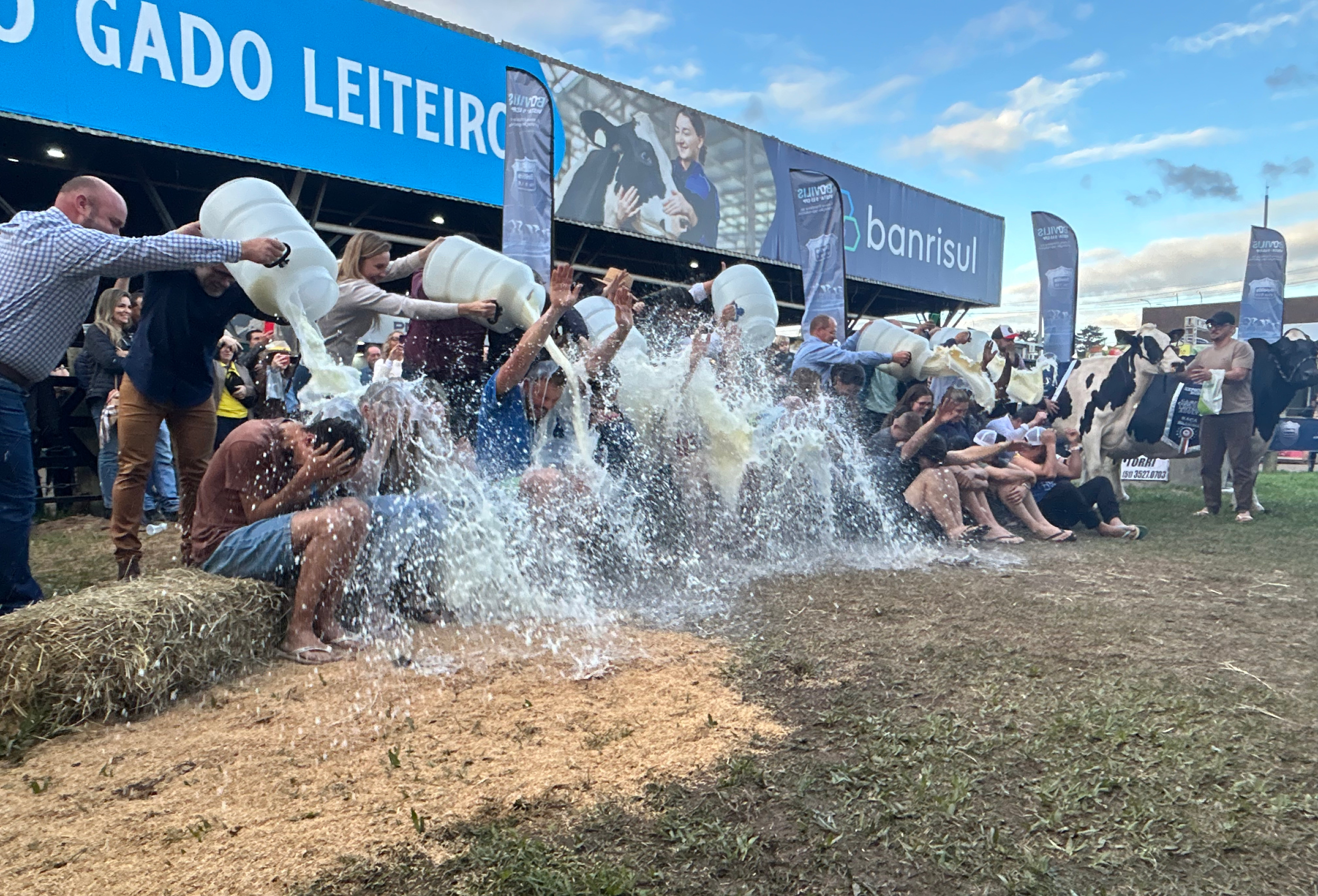 Vaca recordista volta a vencer na Expointer e consagra trajetória de títulos no concurso leiteiro
