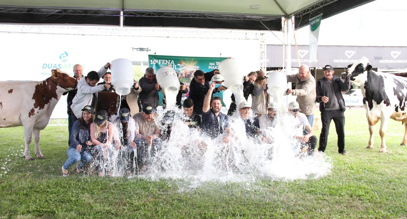 Concurso Leiteiro na Fenasul Expoleite valoriza trabalho do criador