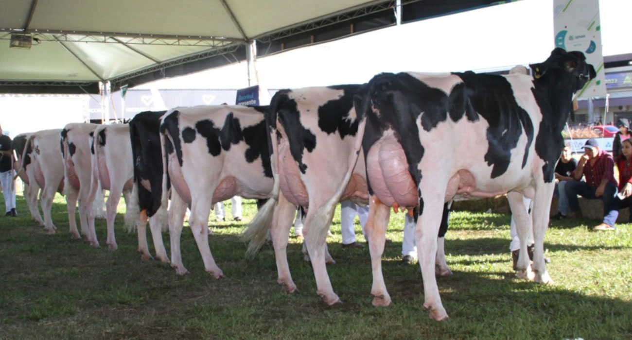 Produtores de leite gaúchos recebem o título de Criador Supremo