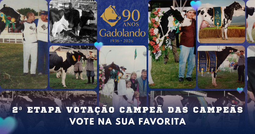 Vote na sua Grande Campeã!