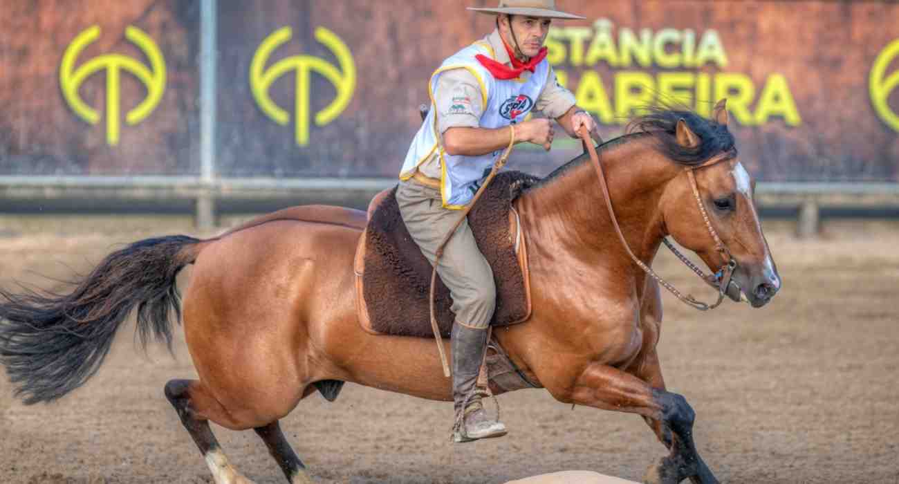 Classificatória Gaúcha Sul seleciona novos finalistas ao Freio de Ouro