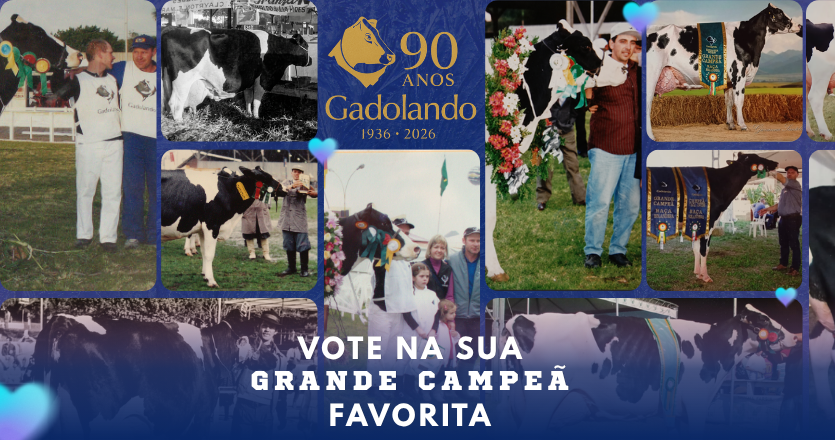 Vote na sua Grande Campeã!