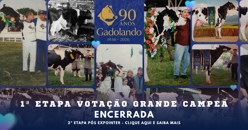Vote na sua Grande Campeã!